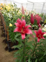 [4155 Believe Mak No101.JPG]